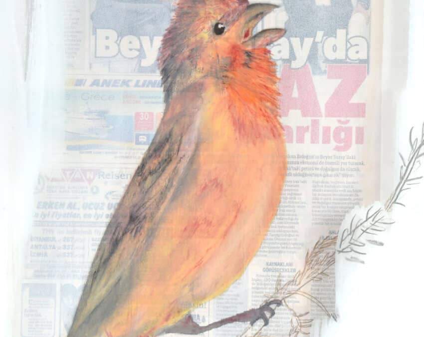 pleased to meet you,  2013 –