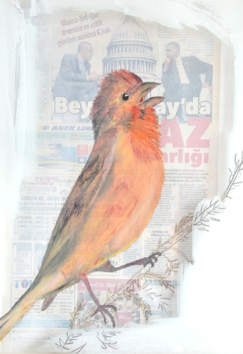 pleased to meet you,  2013 –