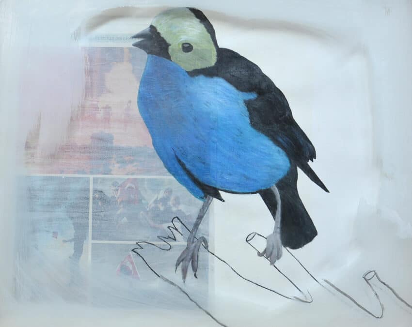 Van wie is het paradijs? 2013