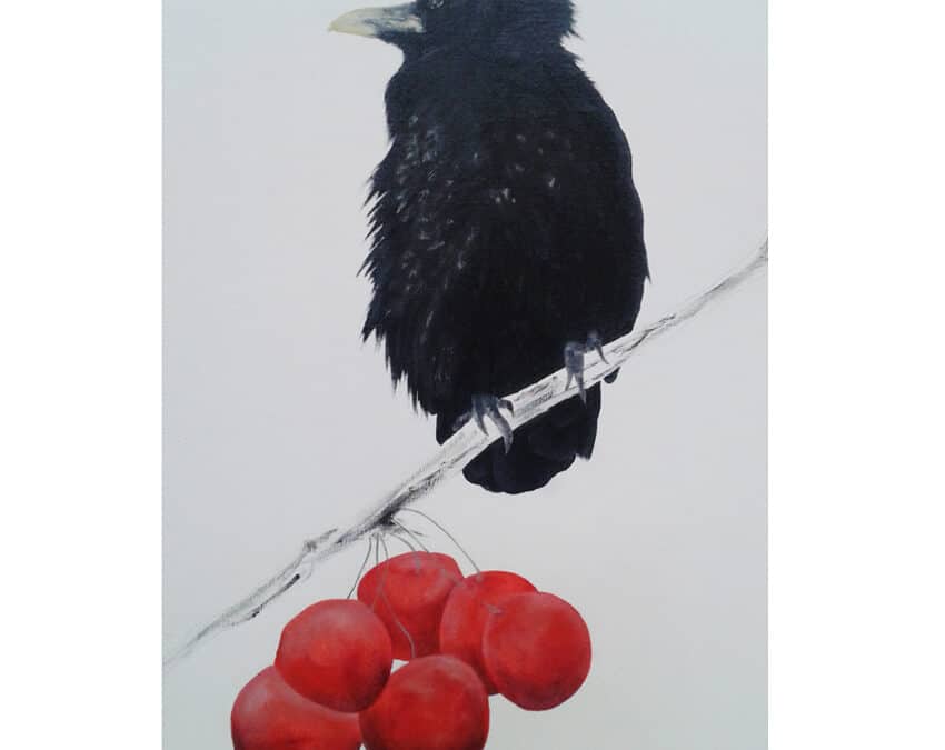 zonder jou geen licht, 2015